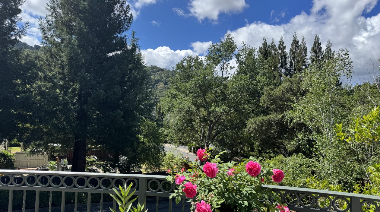 Surreyfarms. A serene haven in the foothills of Northern California